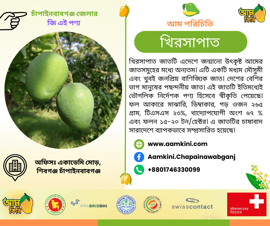 Taste the Sweetness of Khirshapat Mango from Chapai Nawabganj